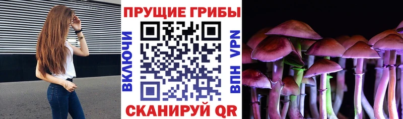 Галлюциногенные грибы Psilocybine cubensis  купить закладку  Крым 
